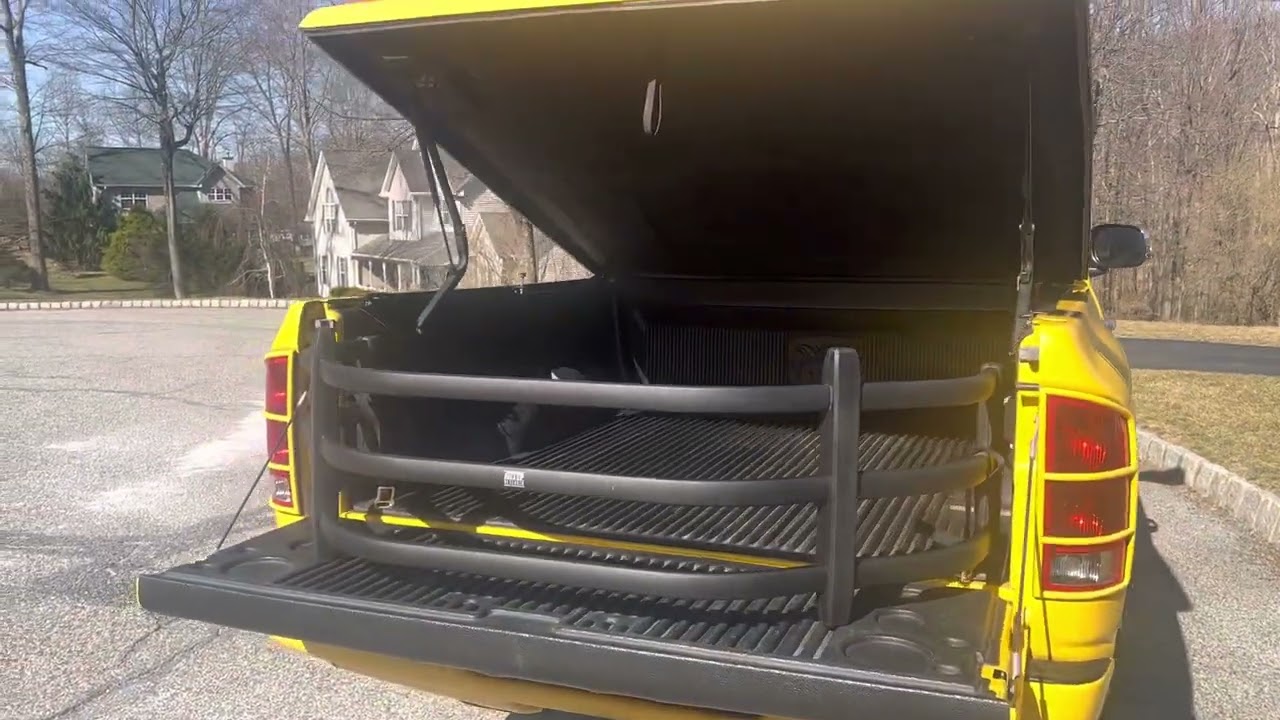 2004 Dodge Rumble Bee