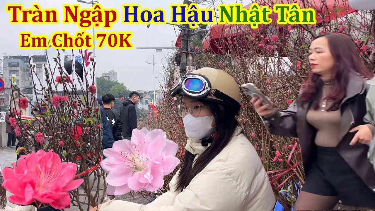 Tràn Ngập Hoa Hậu Nhật Tân Chợ Hoa Đào Quảng An Tây Hồ Hà Nội