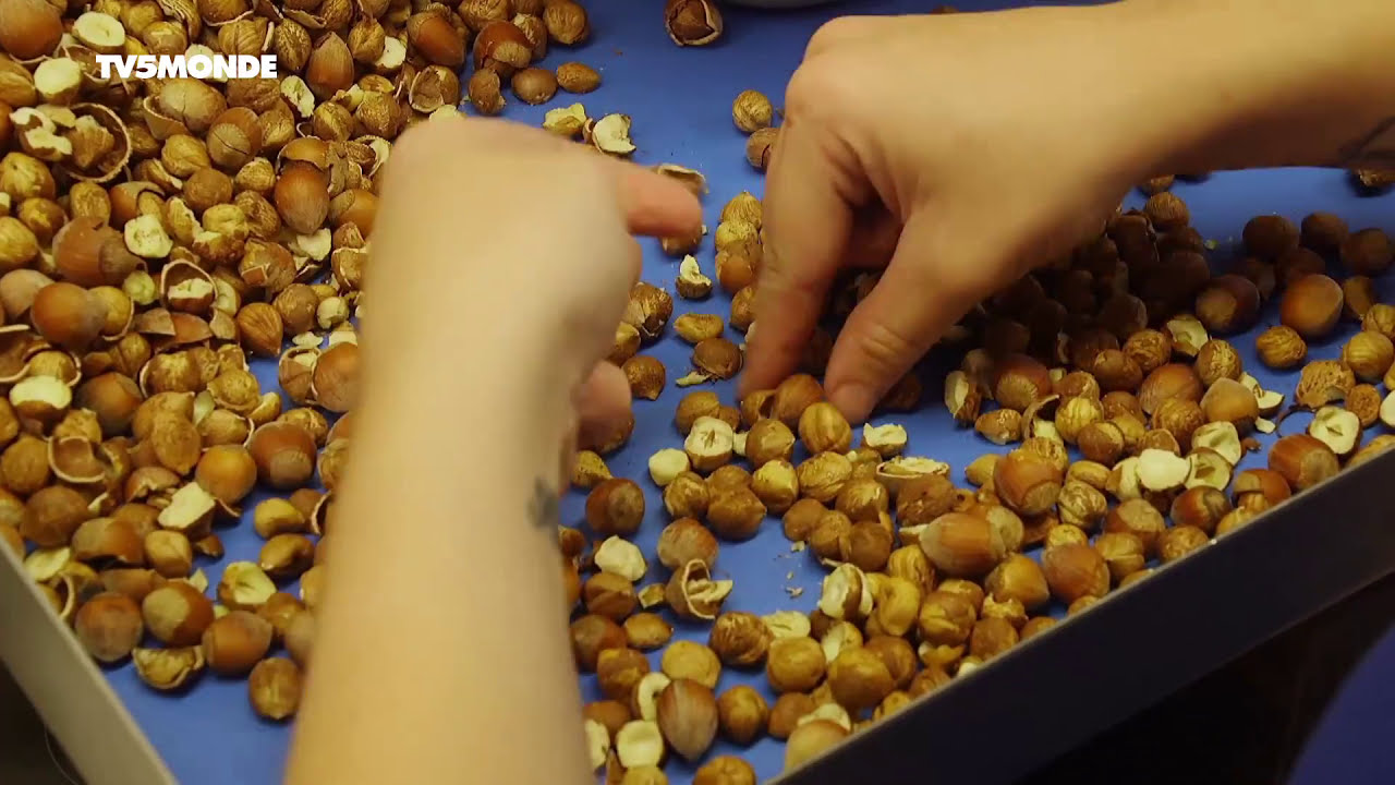 Épicerie fine : Pruneau d'Agen et noisette de Cancon du Haut-Agenais