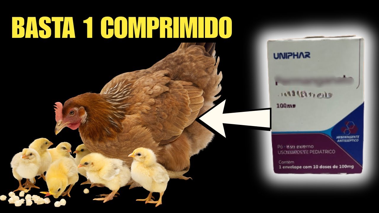 Basta um comprimido e adeus doenças ( coriza, gogo e diarreia )