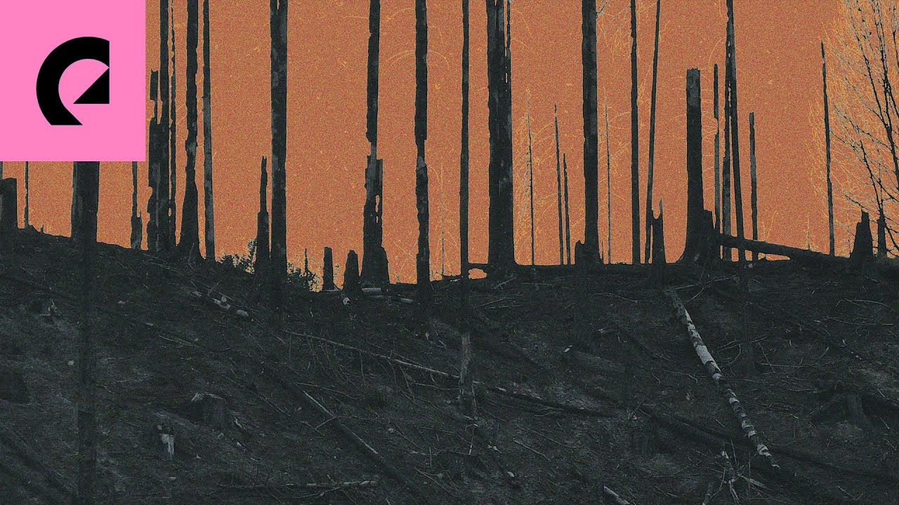 Particle House - Nothing Left but Dirt