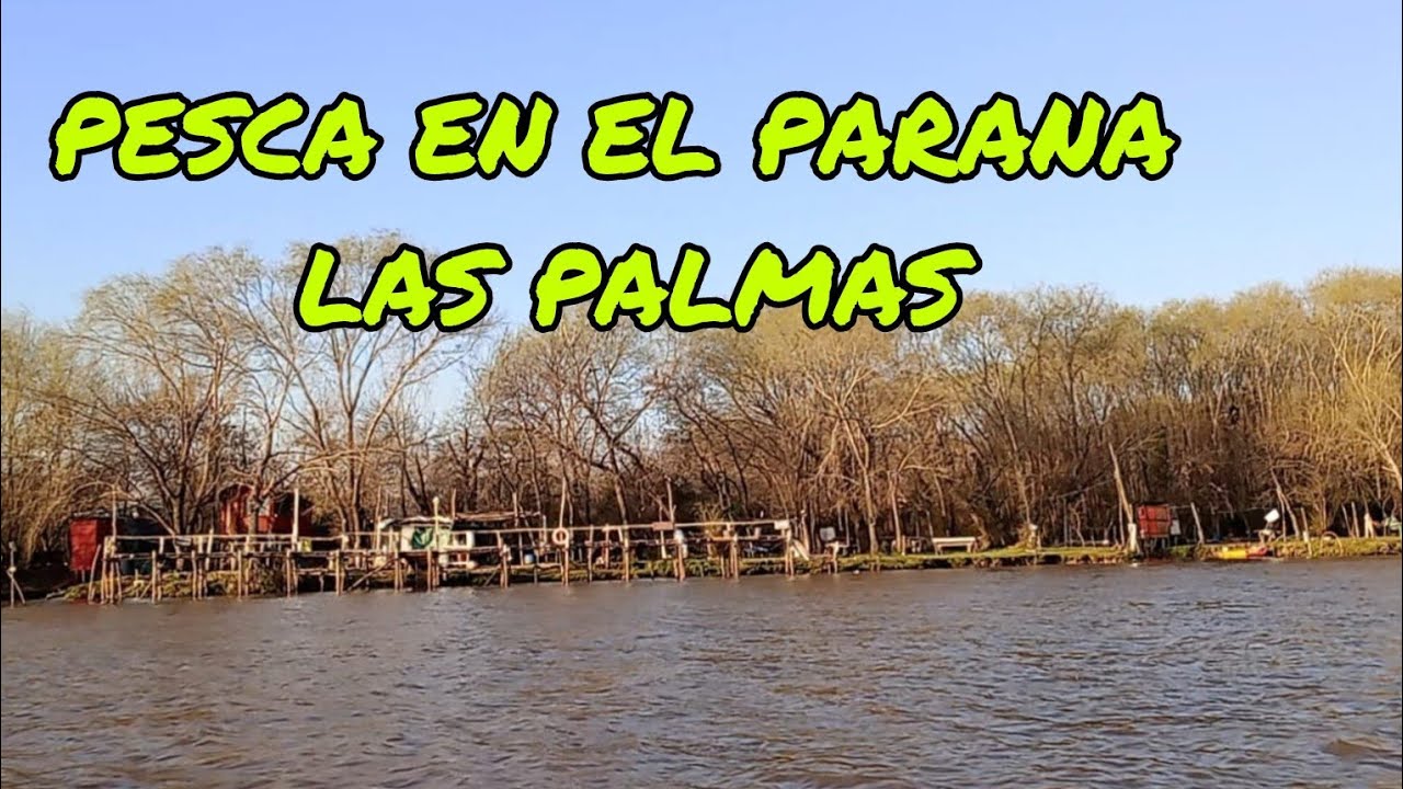 HERMOSA PESCA VARIADA EN LA MONITA