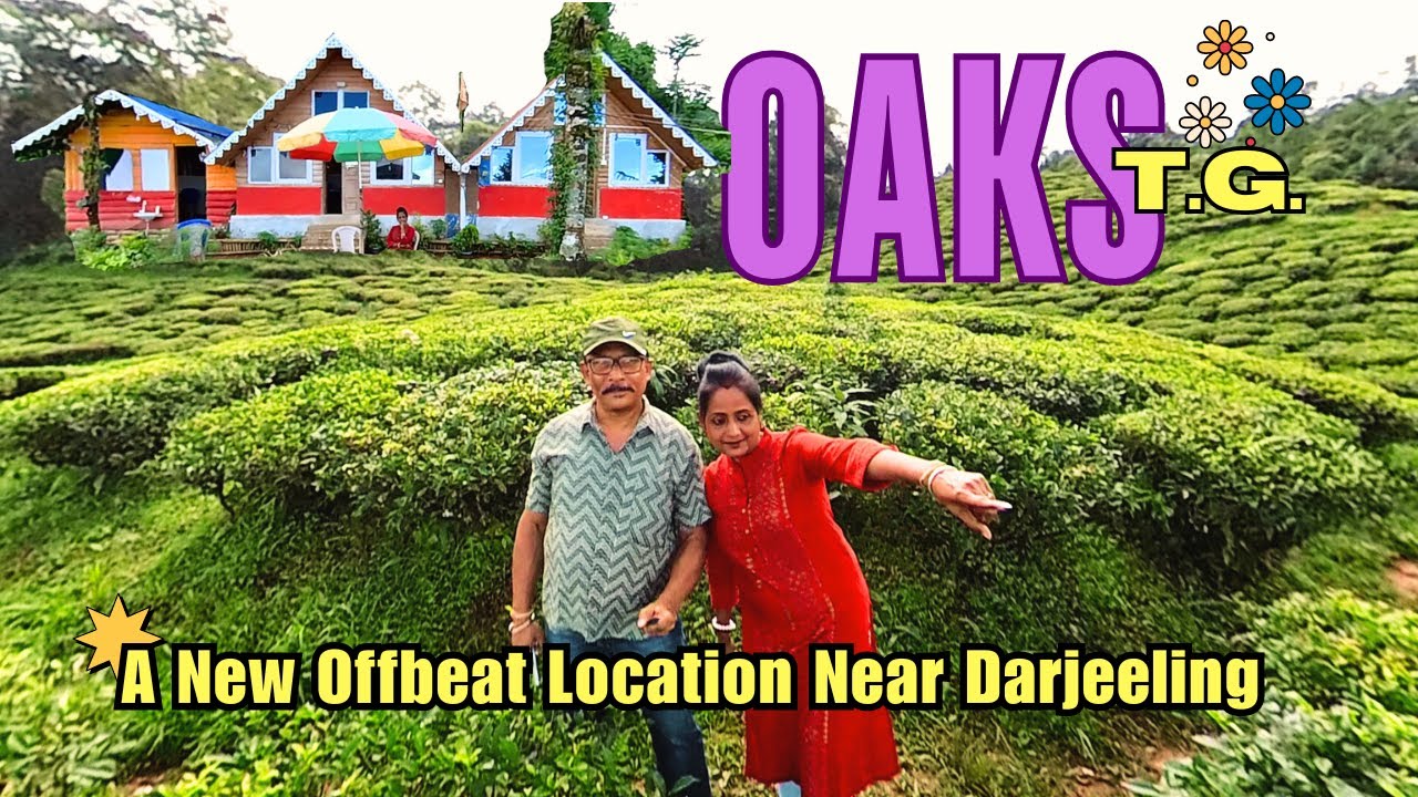 Oaks Tea Garden | EP-1 | Beauty of Oaks Tea Estate | Cheeya Bari Oaks Eco-Friendly Homestay | Sonada