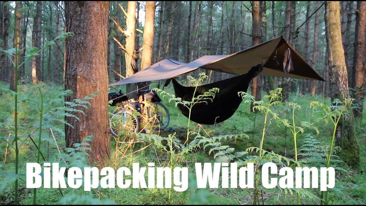 Forest Wild Camp Bike-packing Adventure. Hammock and Tarp. Liver and Onions. Honey/Hive Stove.