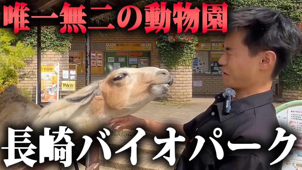 長崎のとある動物園に大勢の人が訪れる理由とは…？