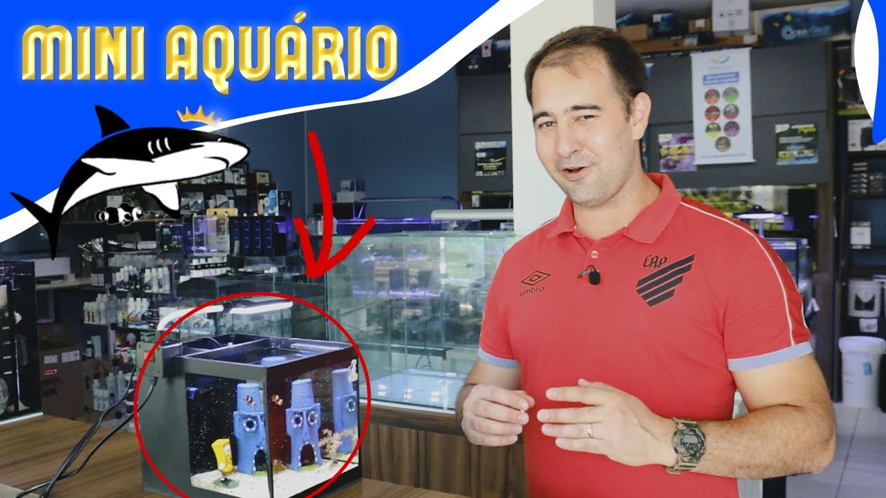 PICOREEF O MINI ÁQUARIO MARINHO #REIDOSAQUARIOS