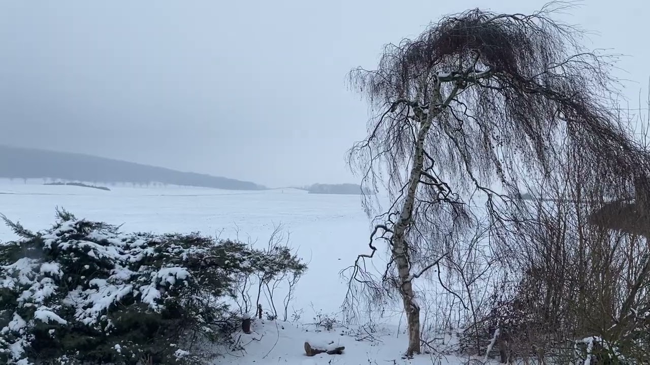 Der Winter, den es nicht geben dürfte