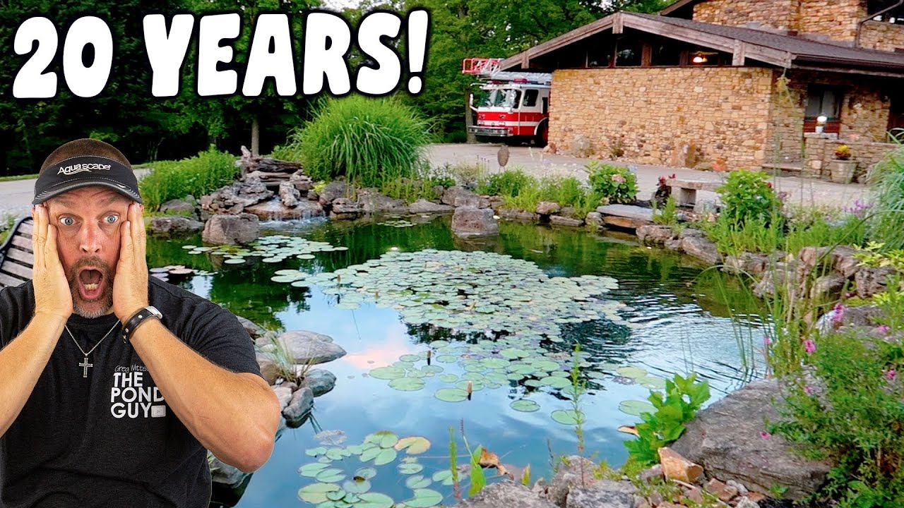 *20-YEAR OLD POND* Still Looks Great Today!