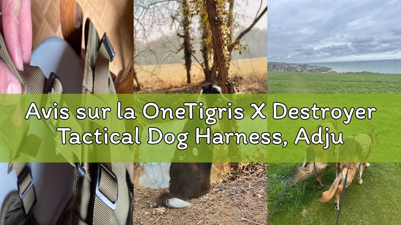 Avis sur la OneTigris X Destroyer Tactical Dog Harness, Adjustable No-Pull Dog Harness with 3 Handle