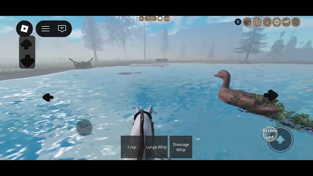 Jumping pov