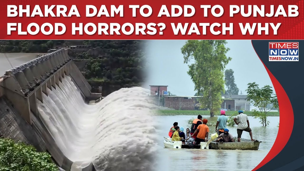 Punjab Flood Horrors: Bhakra Dam Hits Capacity? Watch Why Water Release May Worsen Monsoon Madness