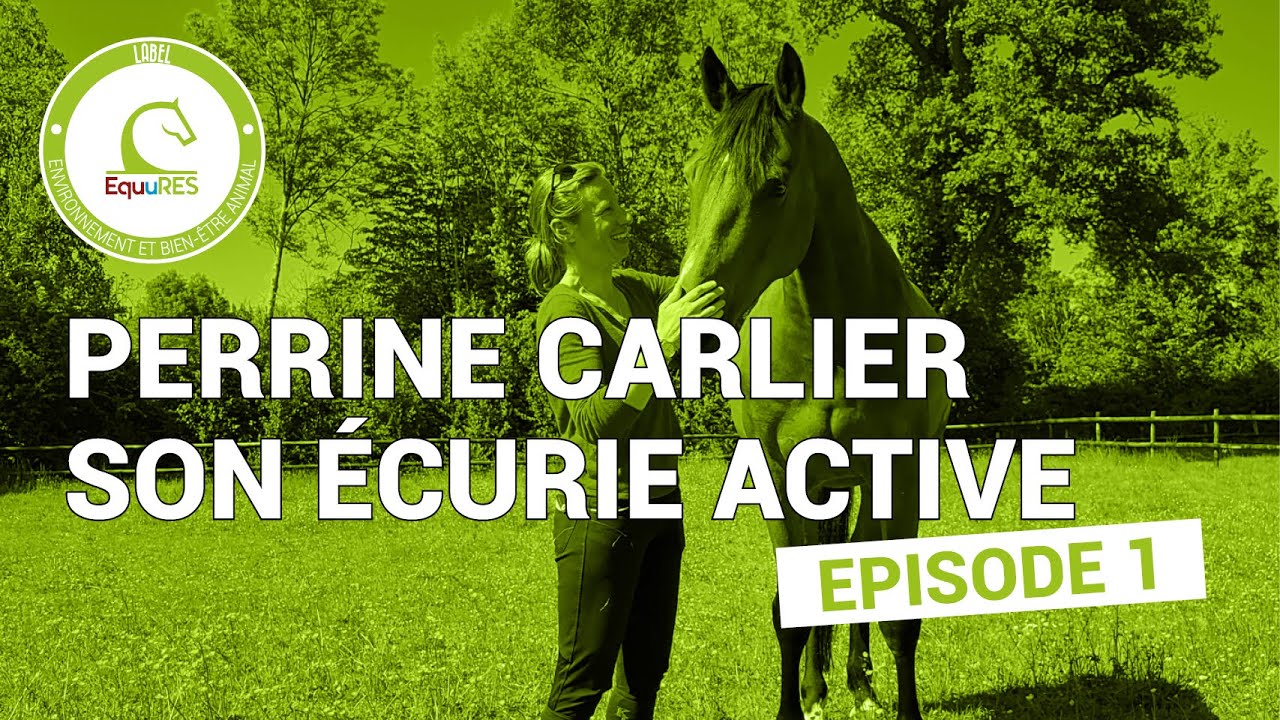 Episode 1 : Perrine Carlier, son écure active