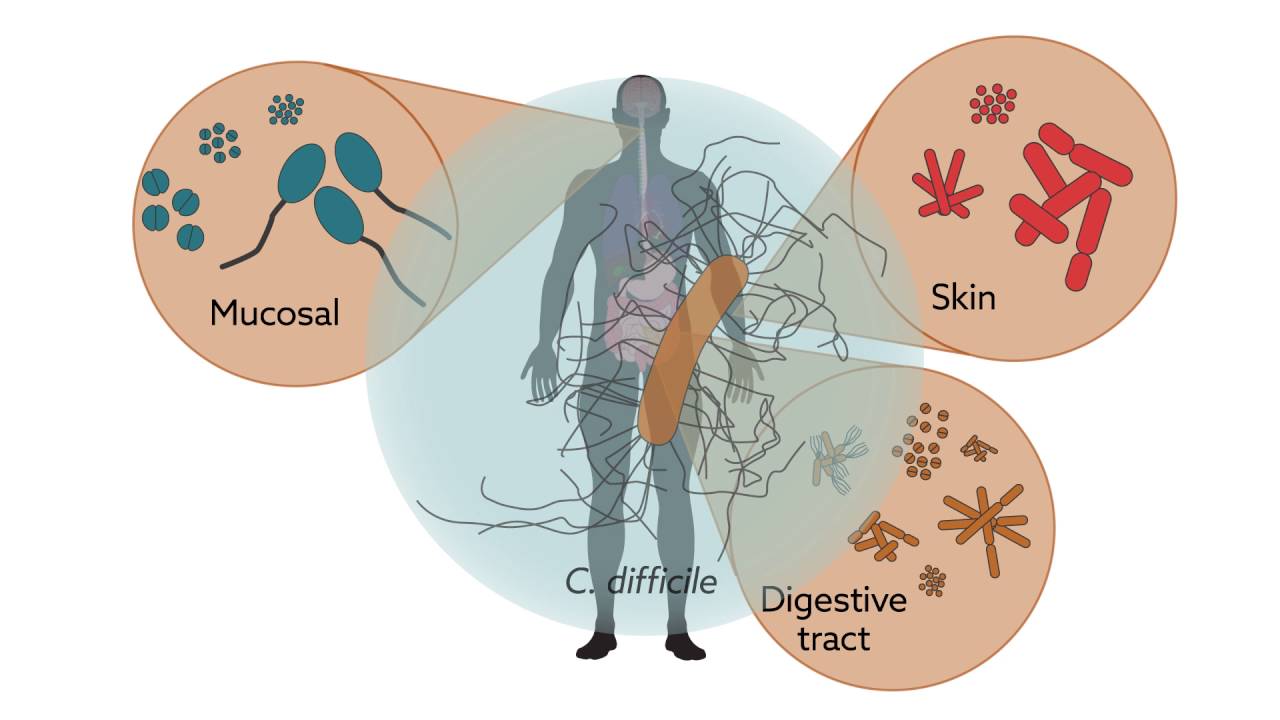 Microbiology & Immunology: A Virtual Event