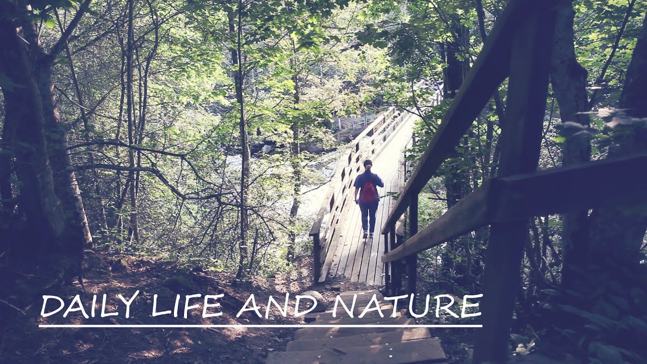 Silent Vlog: Living Alone in Finland | Weaving Everyday Calm with Adventure
