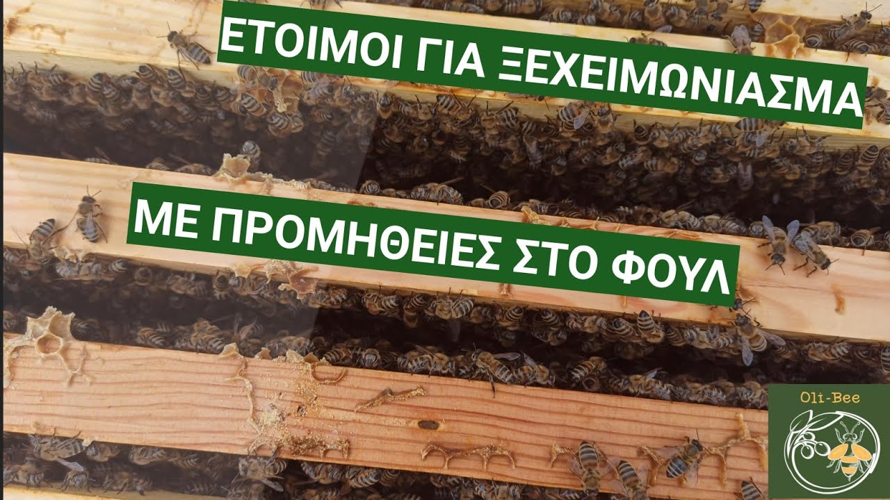 Λίγο πριν τον χειμώνα..