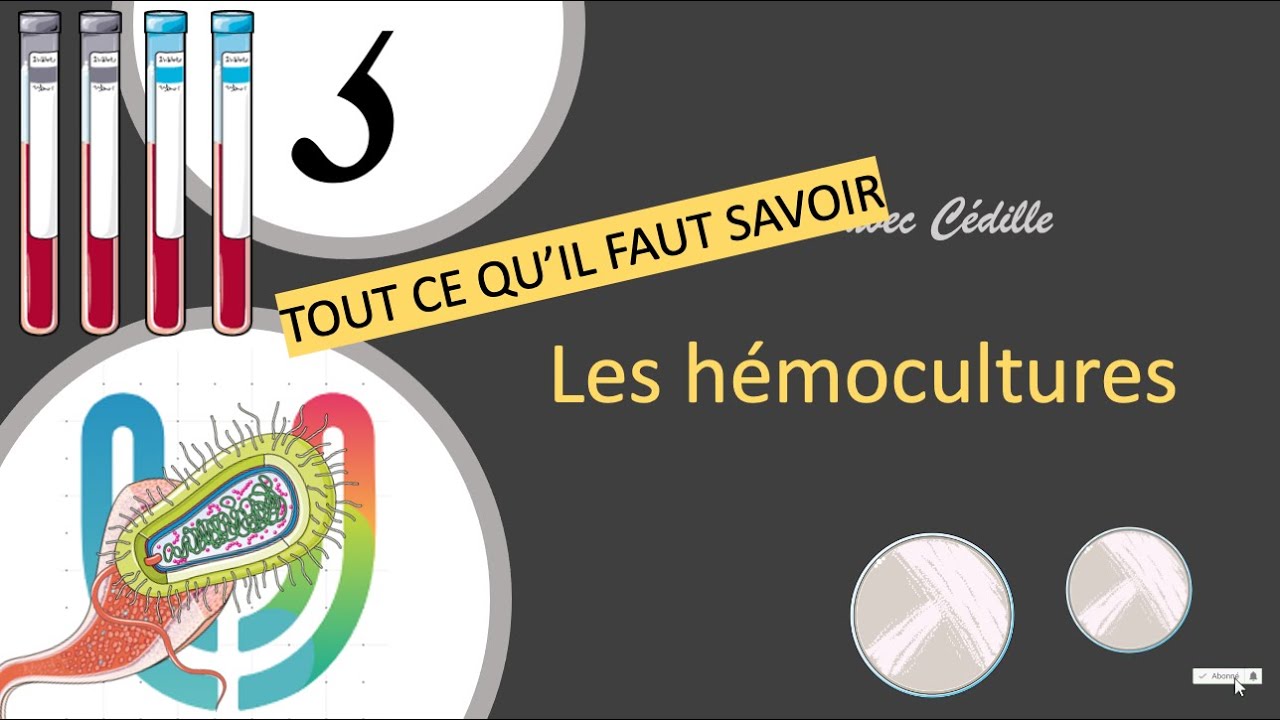 Urgences - la lecon avec cedille - Les hémocultures 🦠🧫
