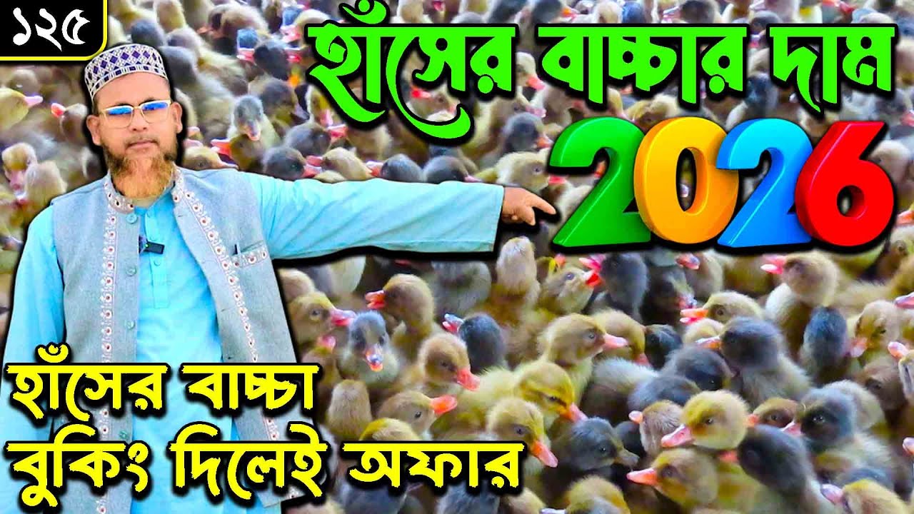 হাঁসের বাচ্চার দাম ২০২৬ | সীমিত সময় Special Offer | শাহজালাল হাঁসের খামার