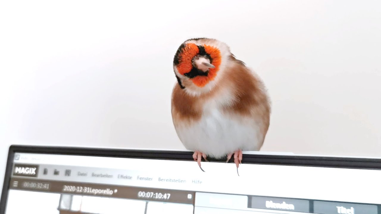 This is not a video.