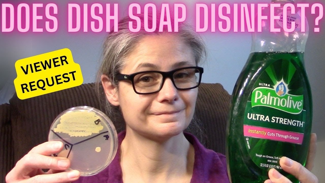 Does Dishsoap Remove Bacteria Around My Home? Tested w/Petri dishes! -VIEWER REQUEST