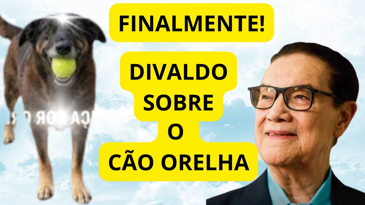 DIVALDO sobre o CÃO ORELHA — Quando a Empatia Morre, a Alma Adoece