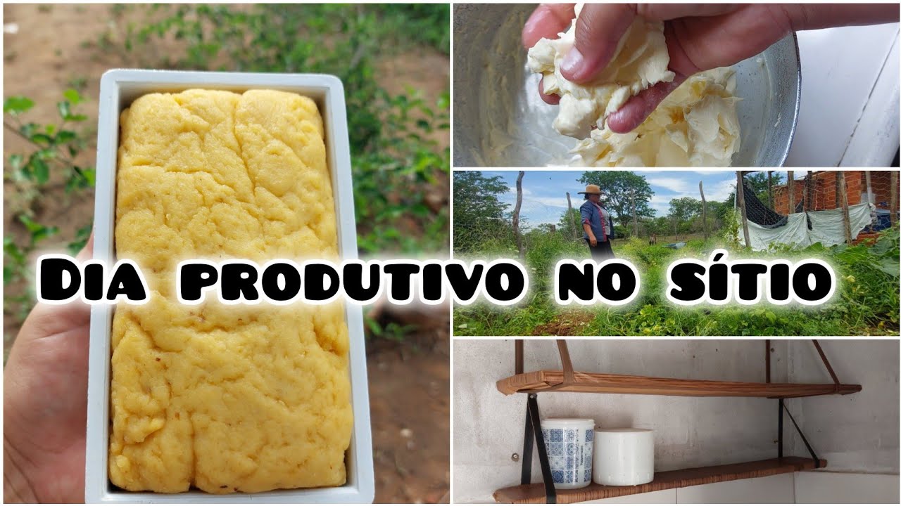 UM DIA DE SERVIÇO NO SÍTIO: PLANTIO, MARIDO FEZ REQUEIJÃO E ORGANIZAÇÃO 