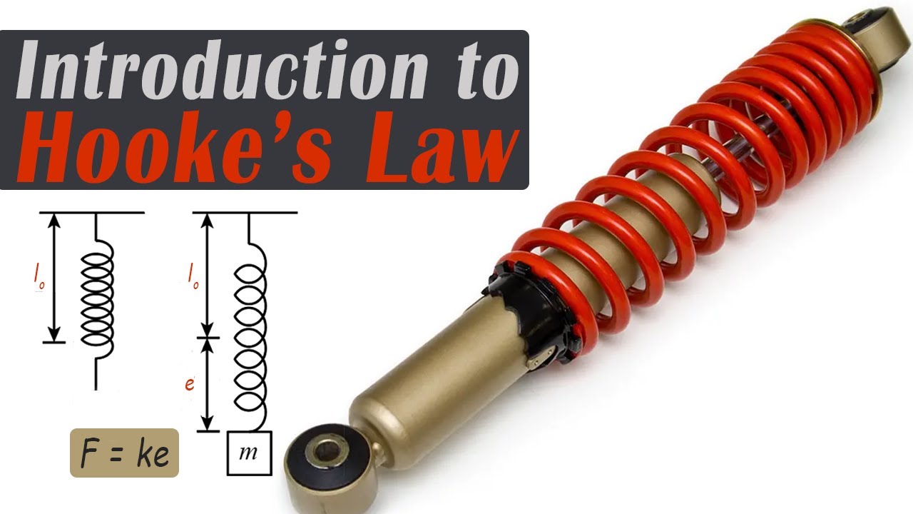 CSEC Physics - What is Hooke's Law? [FULL LESSON] | Junior Roberts