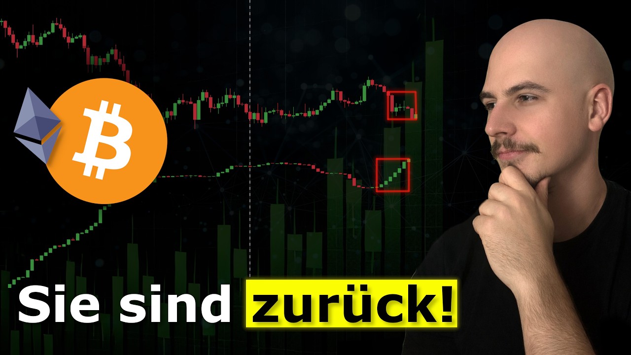 Krypto: Die Wale sind ZURÜCK & die Dynamik eindeutig!