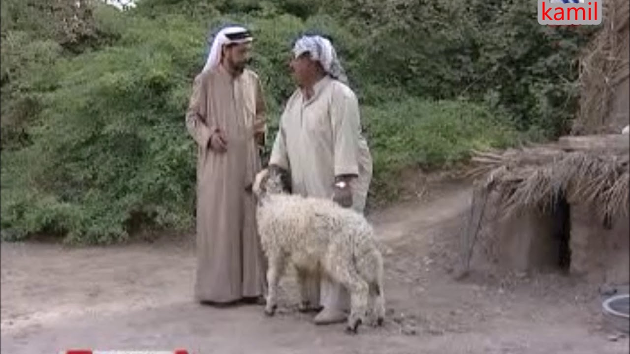 المسلسل الكوميدي سبع خوات ـ ماجد ابو زهرة، لؤي احمد ـ الجزء الثاني الحلقة 17