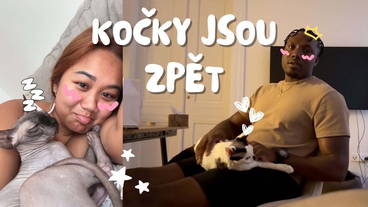 REAKCE PŘÍTELE NA BYDLENÍ S KOČKAMA😨 | KIM LY