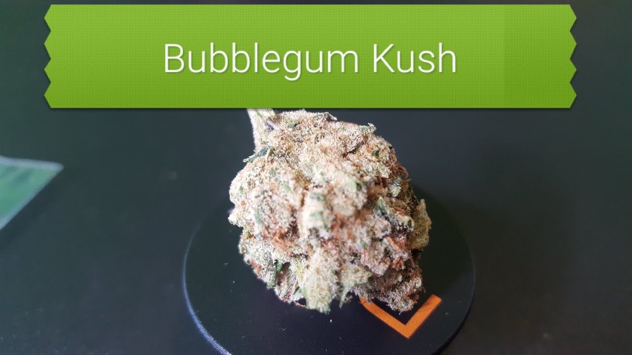 Bubblegum Kush Smoke Session