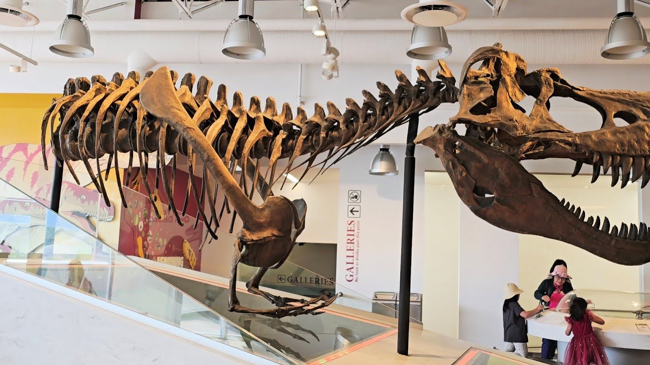 Inside the Royal Tyrell Museum I Dinosaur and much more