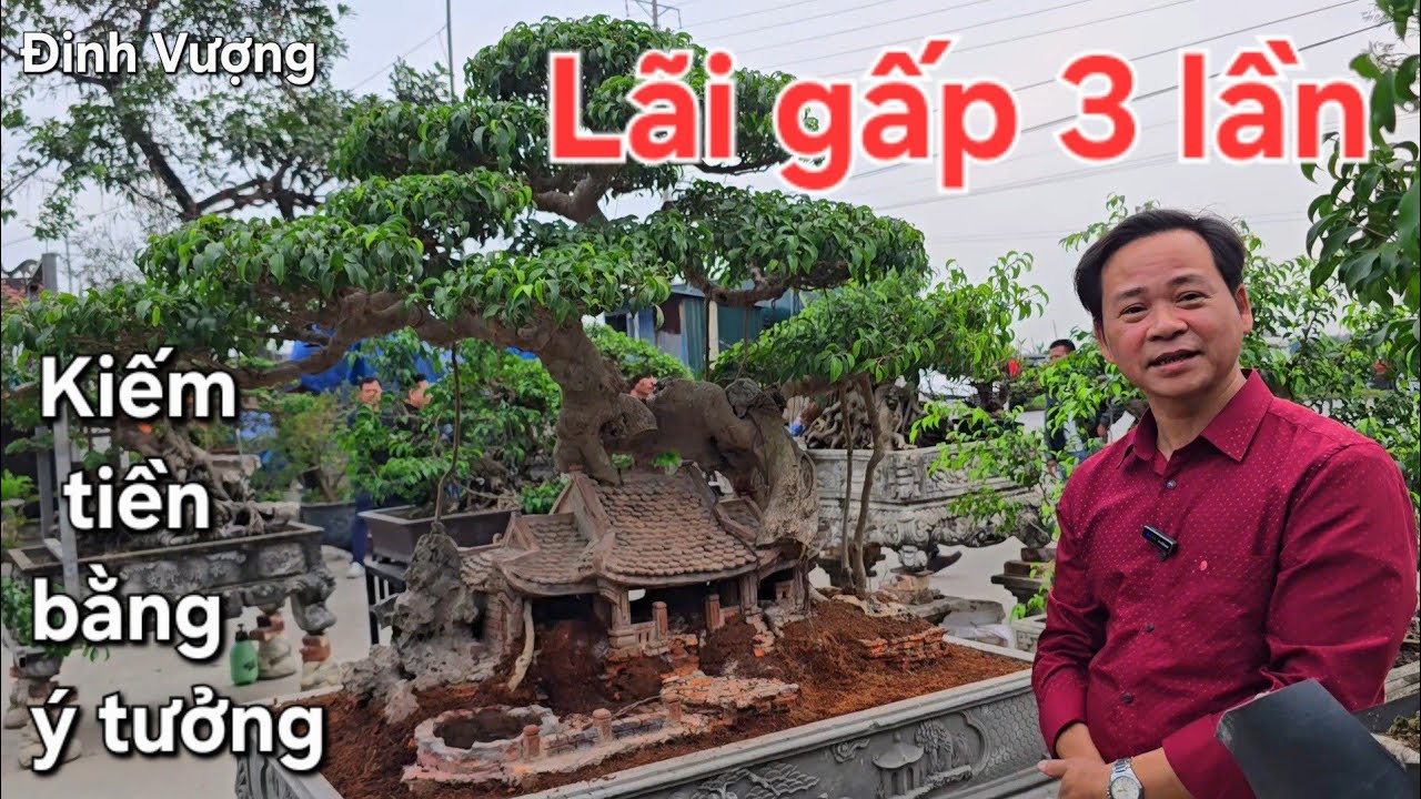 Làm tiểu cảnh xong lãi gấp 3 lần. Kiếm tiền bằng ý tưởng !.