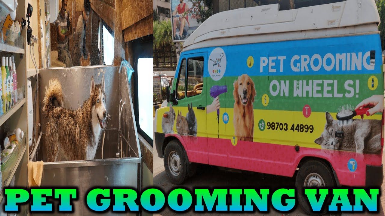 PET GROOMING VAN | PET GROOMING ON WHEELS | PET VANITY VAN | PET GROOMING | HUSKY IN INDIA | LAADO