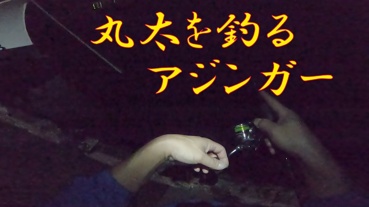丸太を釣る男【アジング】