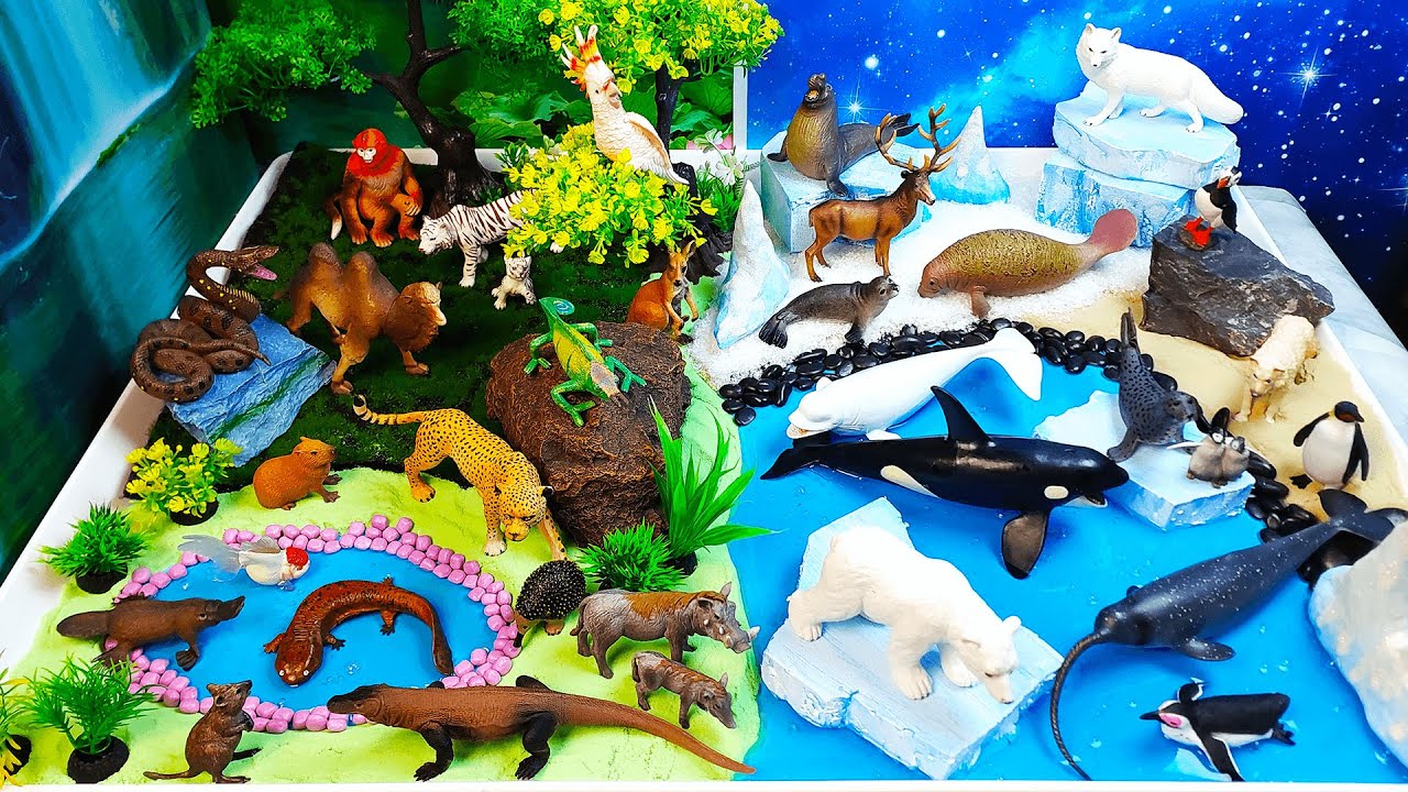 Polar and Exotic Forest Animals-Learn their names and about nature-DIY Diorama-Preschool project