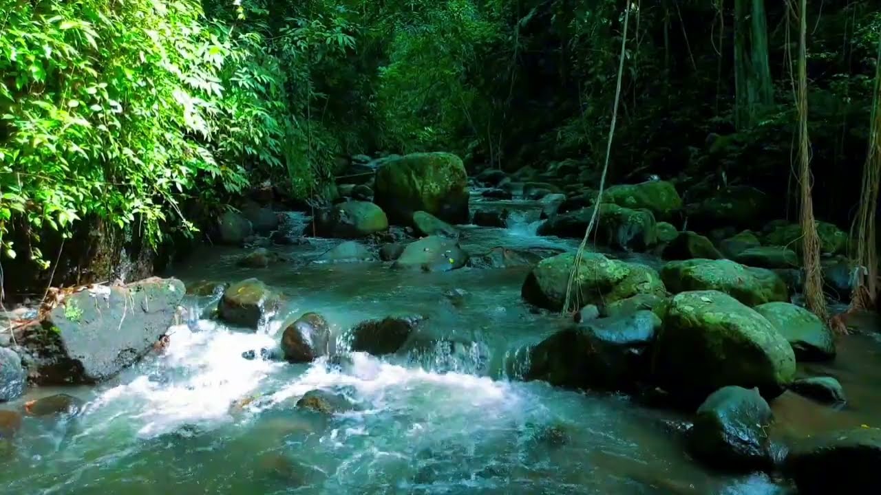 Tropical Forest River Sounds for Sleeping – Deep Relaxation, Nature ASMR, Insomnia Relief (4hours)