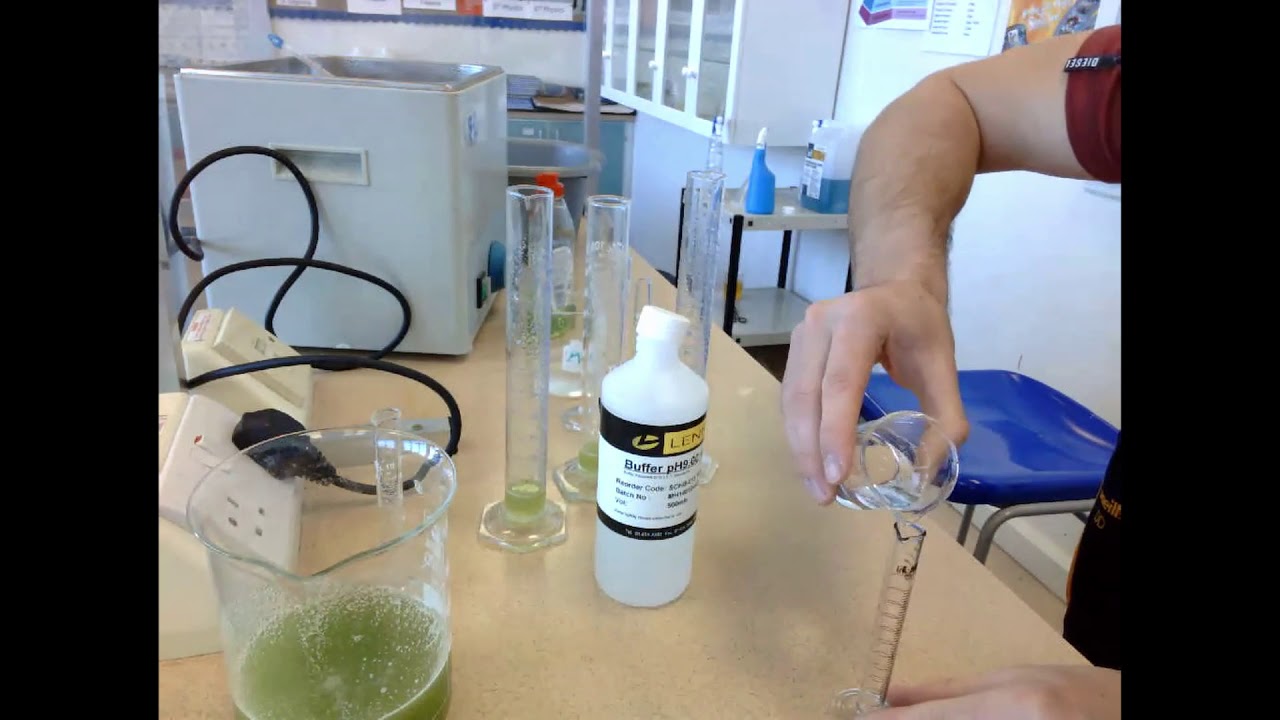 To investigate the effect of temperature on enzyme activity