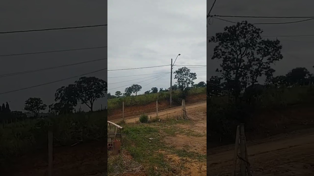 Passeio nas matas 