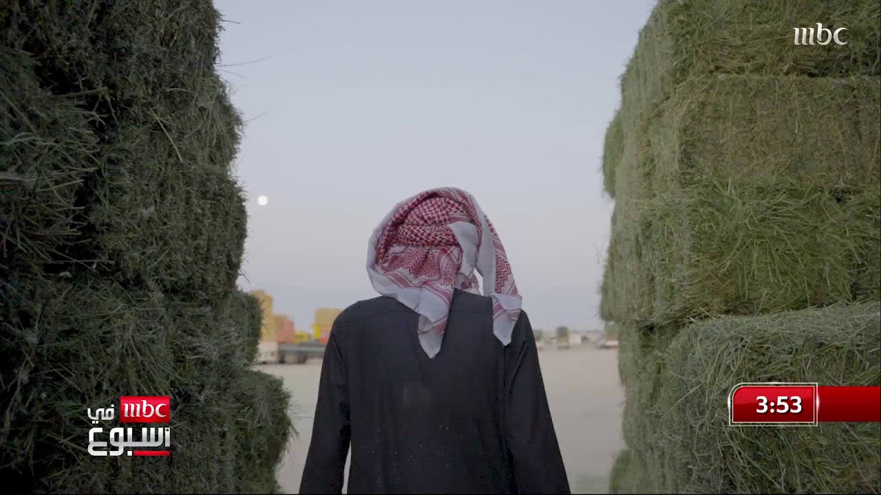 مرعي الدايس.. تاجر أعلاف بأرباح قليلة وأحلام وطموحات كبيرة.. منصور المزهم معه القصة الكاملة