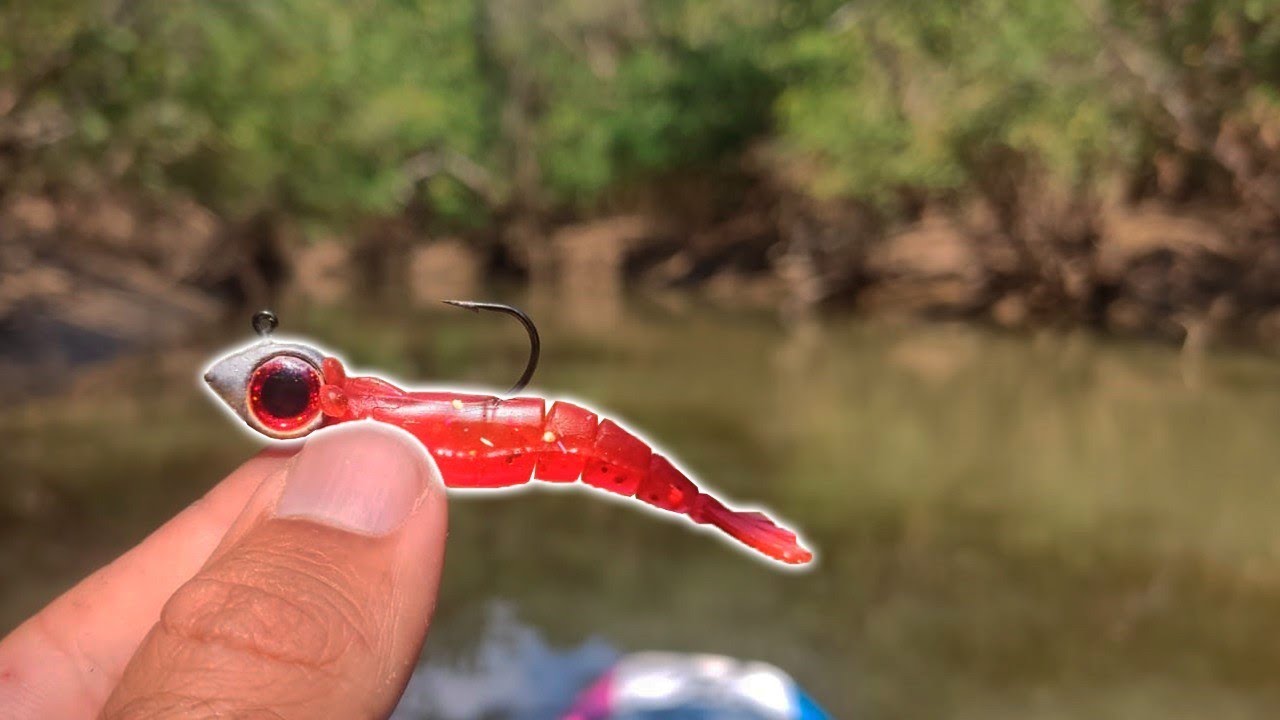 ⚡️MICRO CAMAR&Atilde;O com jig heard no mangue - Pescaria de Robalo com material ULTRA LIGHT