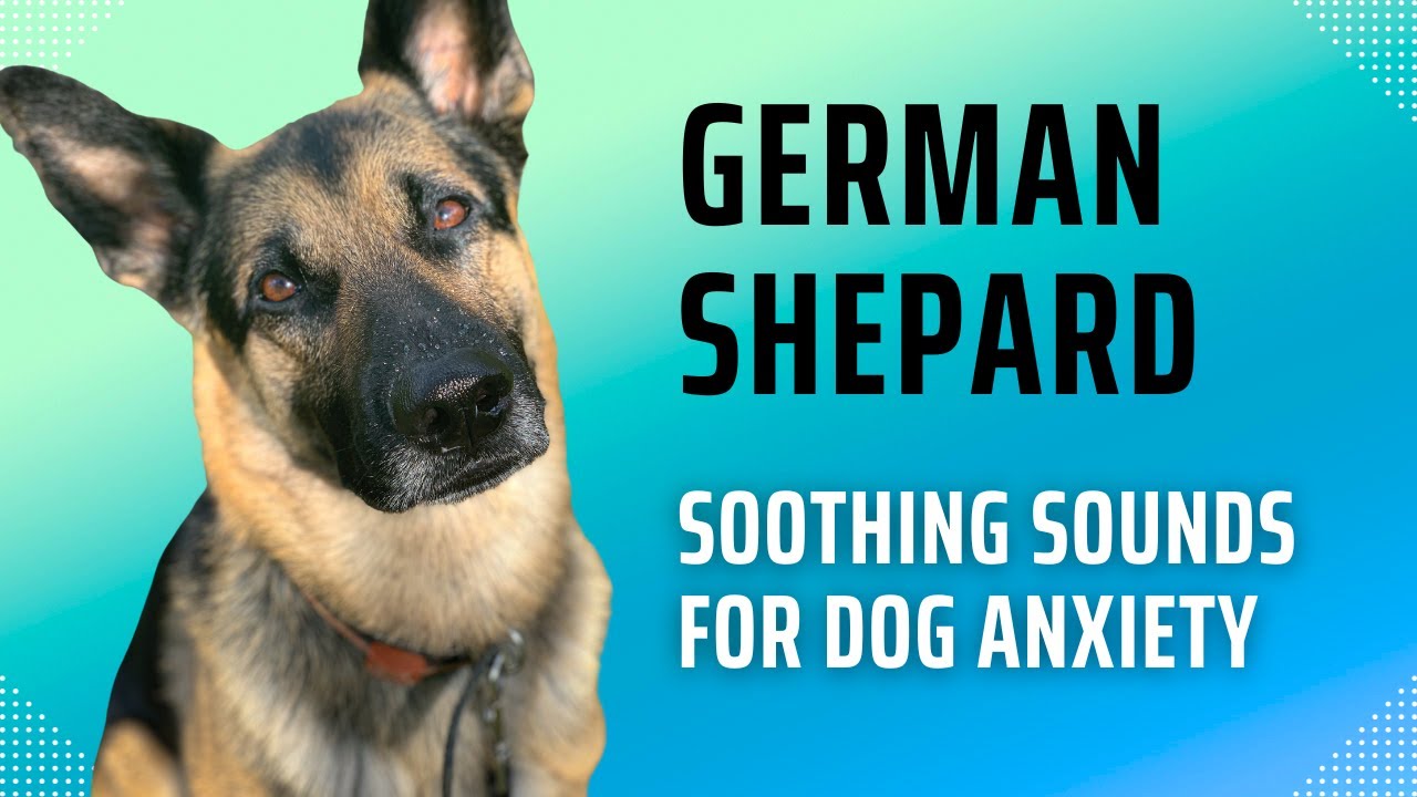 Calming Music for German Shepards : Soothing Sounds for Dog Anxiety