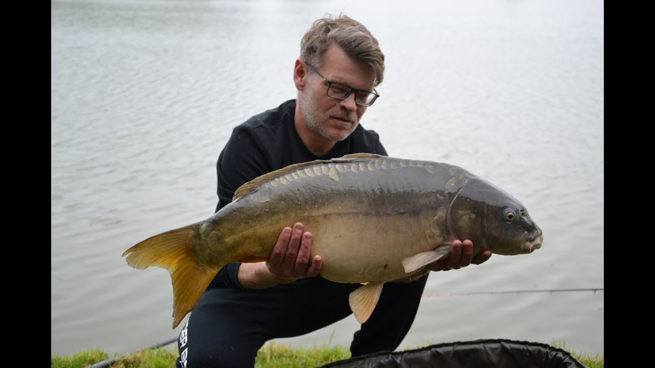 Karpie i Jesiotry na Method Feeder - Feeder Bait