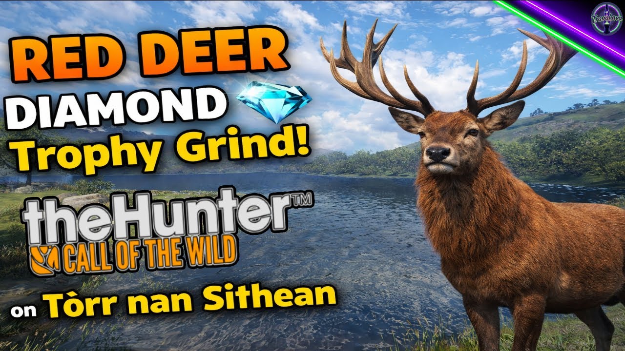 Today's Plan Is To Grind To Get A Diamond Or More Today, On Top Of Hoping Better Shows Lets Hope