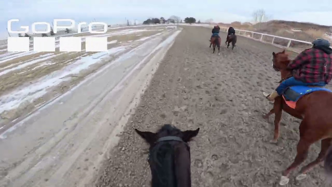 GOPRO Beautiful Crisp Morning Riding a Thoroughbred 