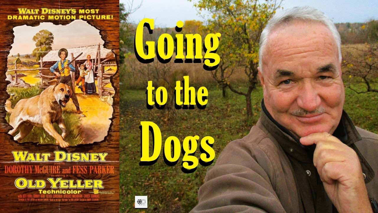 CinemaHistoria - Old Yeller, 1957 Classic Movie Review, History, Trivia and Lots More!