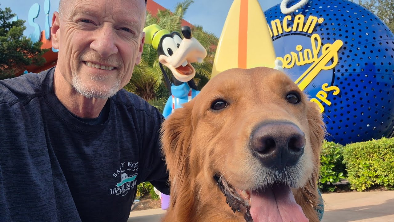 Theodore went to Disney World #goldenretriever  #doglover #ilovemydog #doglife #socutedog #disneyfun