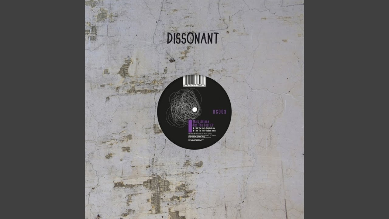 Not the Fool (Original Mix)