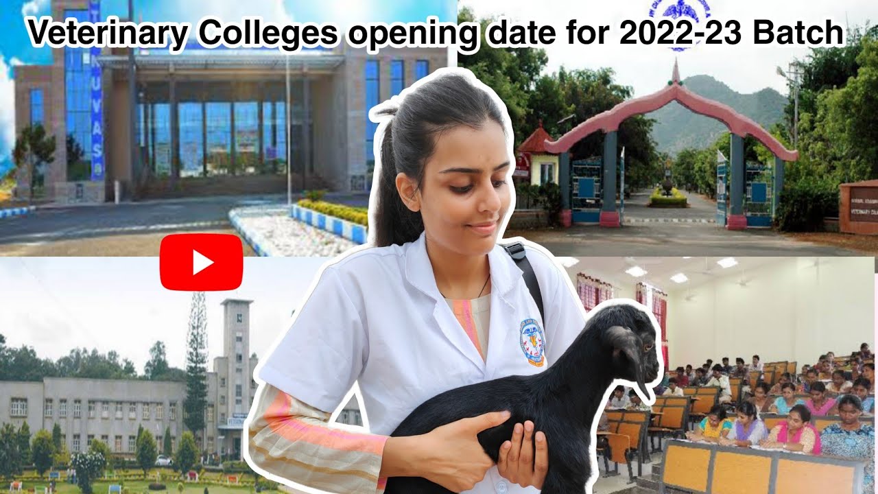 Veterinary Colleges Opening date for 2022-23 Batch | New Admission#vet#new#neet#vci#veteran#newvideo