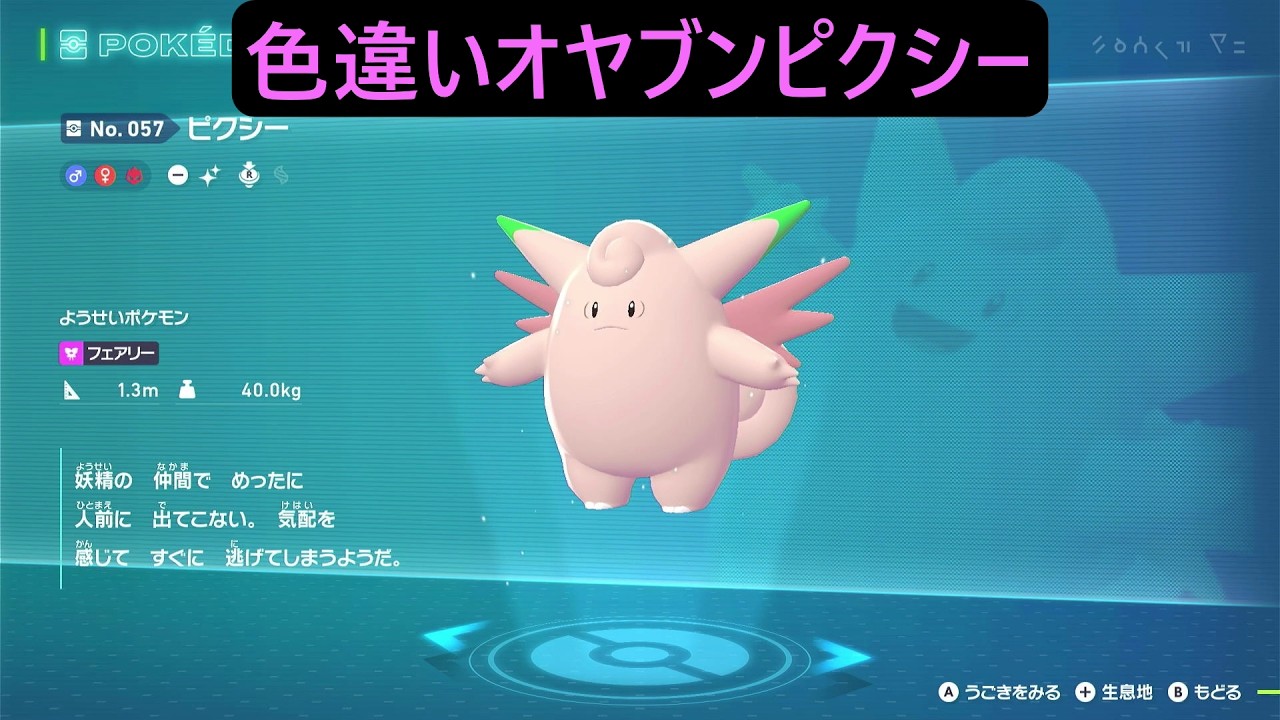 色違いオヤブンピィ・ピッピ・ピクシー ポケモンレジェンズZA M次元ラッシュ Pokémon LEGENDS Z-A Mega Dimension #ポケモン
