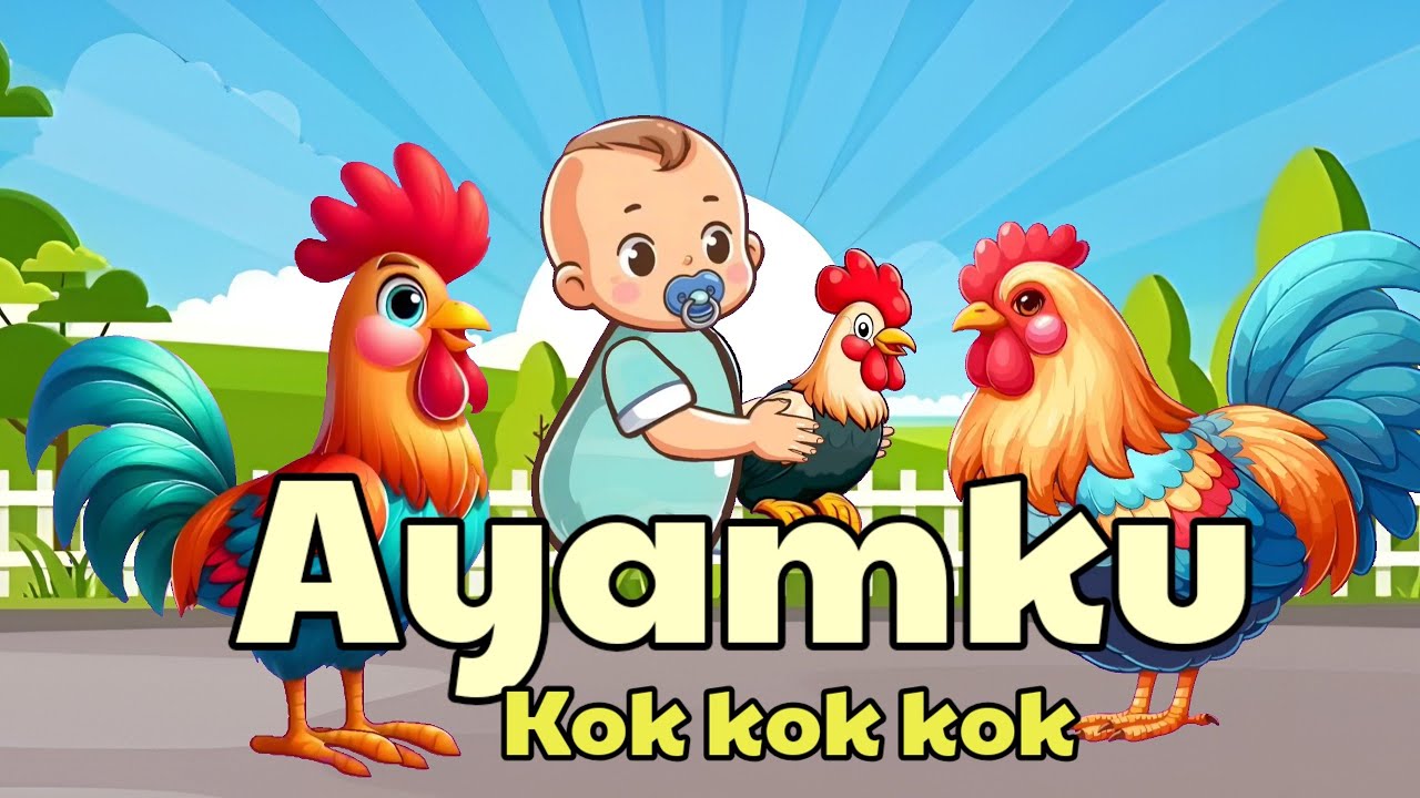 Ayamku | Ayamku Kok kok kok | Ayam berkokok | Lagu anak | Lagu anak Populer | Lagu anak balita |